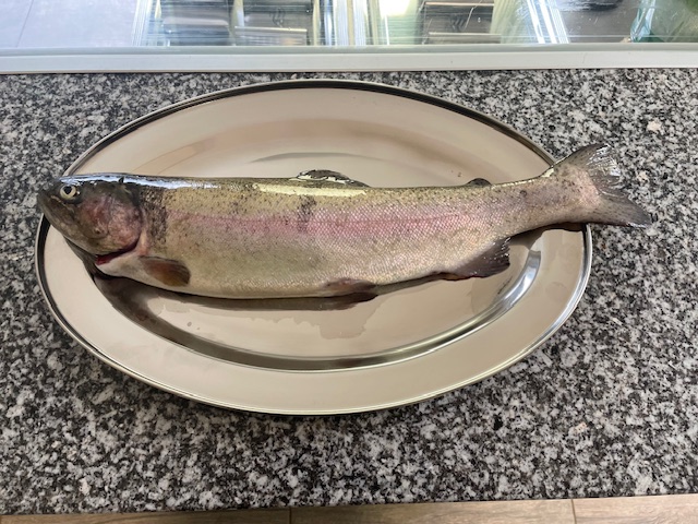 Frischer Fisch aus eigenen Hältern