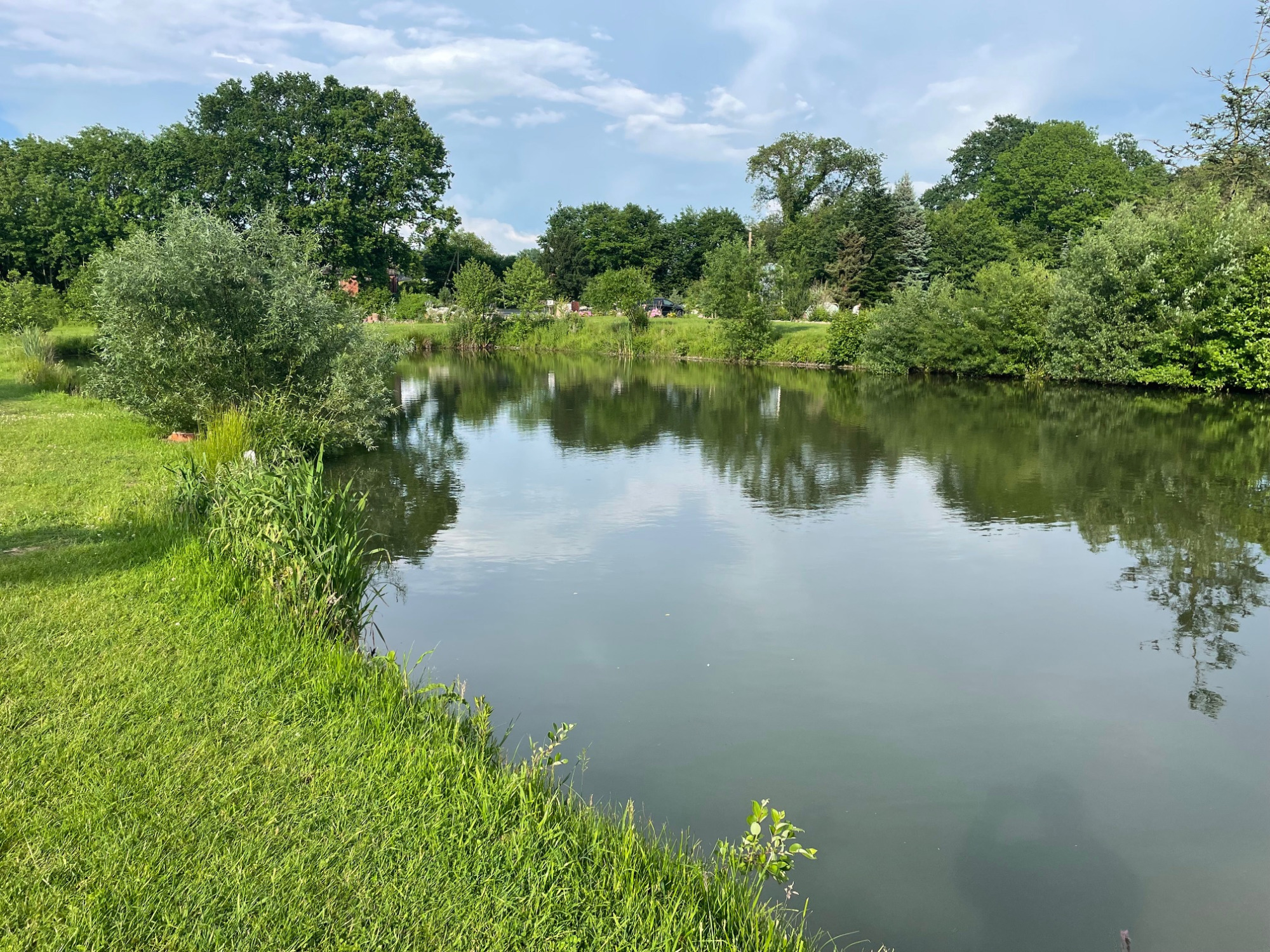 Ruhiger Forellenteich mit Spiegelung und grünen Ufern bei Fischen bei Chrischen in Hoisdorf zwischen Ahrensburg und Trittau