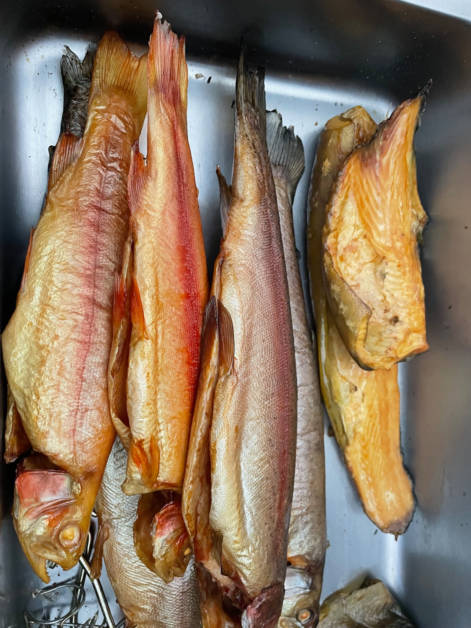 Frisch geräucherte Forellen aus eigener Räucherei