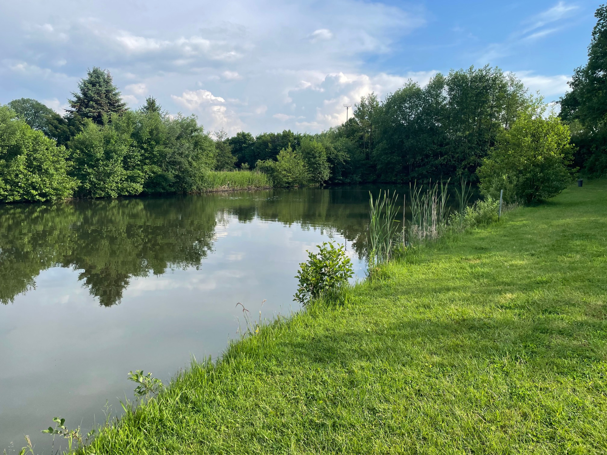 Exotenteich - großer Forellenteich für Großforellen und Exoten